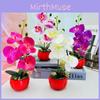 Artificial Phalaenopsis Decor With Highquality Materials For Gift And Event Use