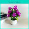 Simulated Flowers Twelve Artificial Green Plant Potted Ornament For Decor Indoor