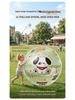 Inflatable Transparent Giant Football Beach Ball for Children and Parent-Child Interaction