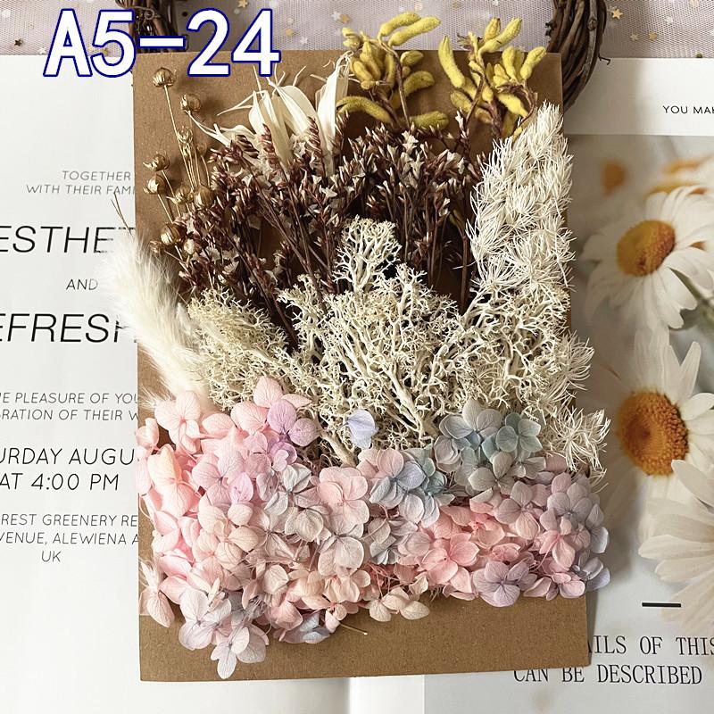 Exquisite Eternal Dry Flower Ancient Style Group Fan Material Pack for Children's Handmade Exclusive Decoration Dried Flowers