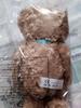 [USED] Teddy bear stuffed animal