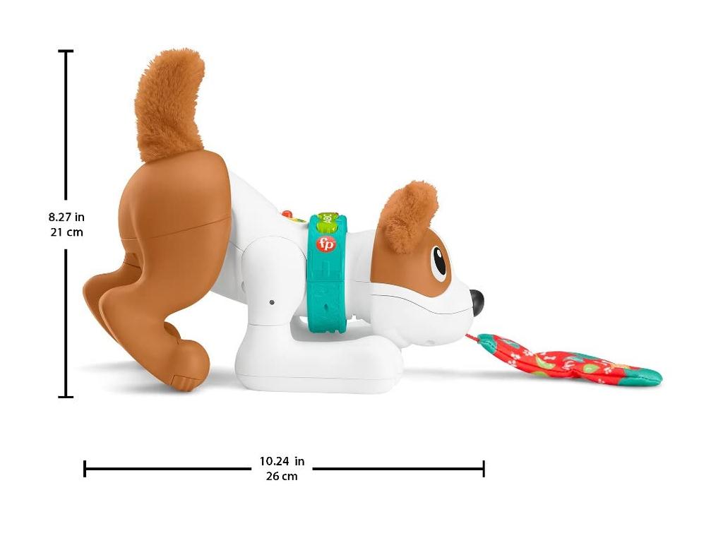 Fisher-Price Chase with Puppy! Bilingual Puppy [6 Months and Up] [Baby Toy] HGY01