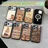Capybara Phone Case For iPhone17,16,15,14,13,12,11 Plus,Pro Magnetic For Magsafe Wireless Charging