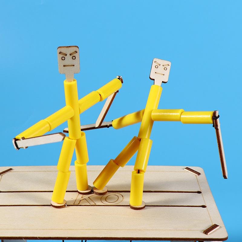 Elementary Science Experiment Wooden DIY Kit - Educational Toys