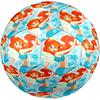 Pallone da Calcio Winx Club Taglia 5, Adatto per Partite Indoor e Outdoor, un Regalo Adatto a Tutti.