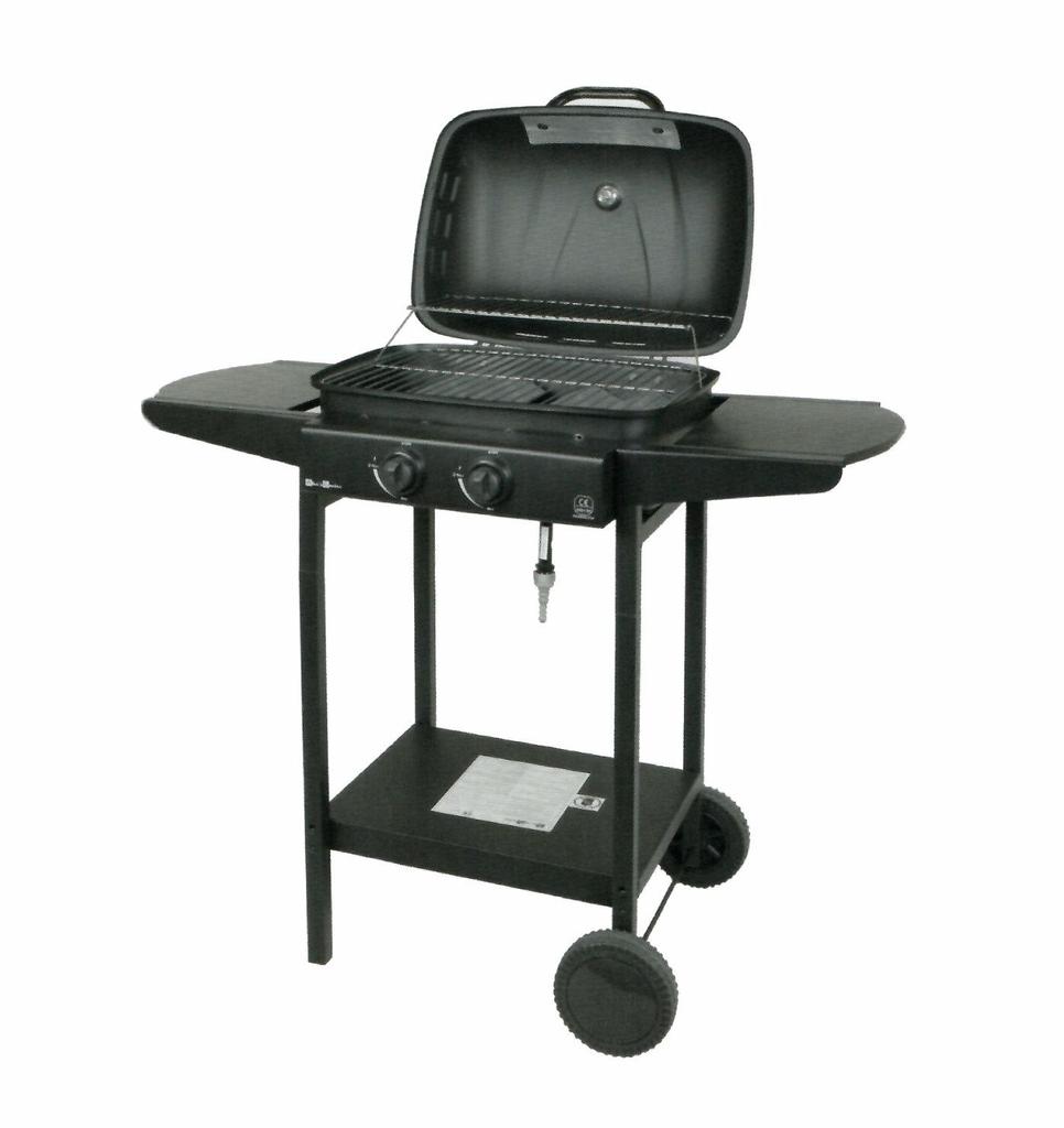 Master Grill Gazowy 2-Palnikowy 5,6Kw Mg672