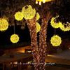 Low Voltage 50cm LED Vine Ball String Lights (5-Pack)