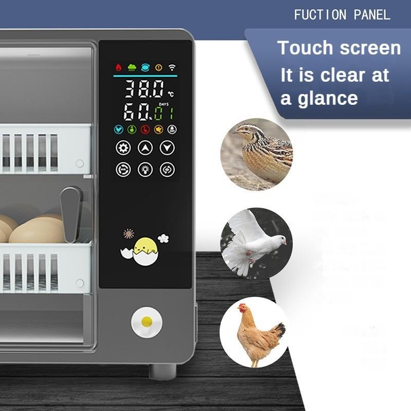 50W Household Fully Automatic Incubator Intelligent Continuous Constant Temperature Incubator Small Digital Display Screen Egg Hatcher