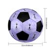 Tottenham Hotspur F.C Soccer Ball Colorful All Ages Machine Stitched PVC Competition Ready Durable High-Bounce.SIZE5