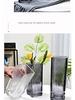Thickened Square Glass Vase for Fresh Flowers - Elegant Hydroponic Floral Container for Living Room & Dining Table Decor