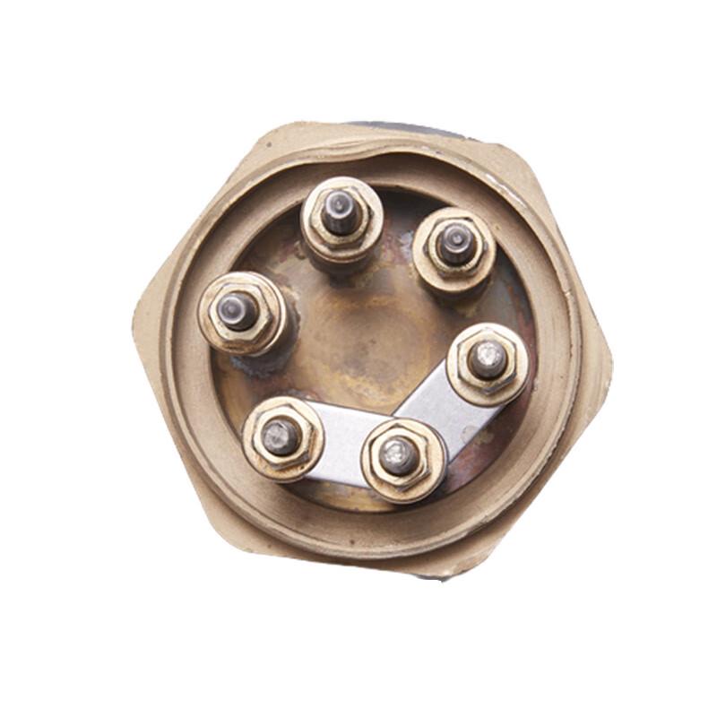 

DN40 Industrial Electric Immersion Heater Rod