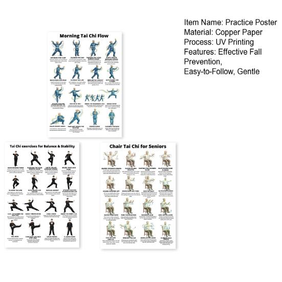 3Pcs Seated Tai Chi Practice Poster for Seniors Balance Stability Training