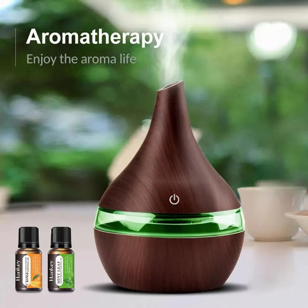 300ml Portable USB Humidifier & Aromatherapy Diffuser 2 in 1 for Home, Office & Travel, Includes Essential Oils, Ultra Quiet Pe
