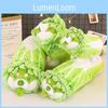 Cabbage Dog Vegetable Plush Cushion Toys Cartoon Stuffed Doll Cute Kids Gift