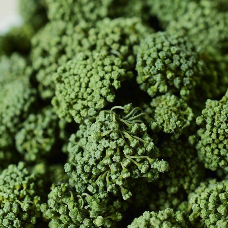 Tè alle erbe naturale di fiori di Notoginseng ecologico di prima qualità Tè alle erbe cinesi Sanqi 250g