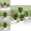 Artificial Plant Decoration With Plastic Craft For Home Office Decor