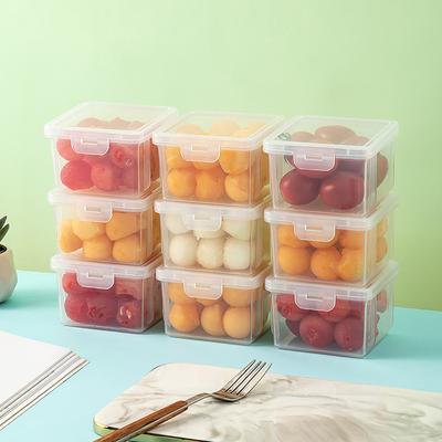 Porta Pranzo Bento per Frutta, Contenitore Portatile per Esterno Fresco, Contenitore per Alimenti, Porta Riso in Plastica per Alimenti Specifico per Frigorifero, Contenitore Sigillato