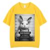 Funny Rabbit Meme Tshirt Men Wome Fashion Harajuku Loose Tshirt Summer 100 Cotton Hiphop Casual Aesthetic Trendy Tshirts