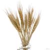 1Set Grass Ration Dried Flowers for Vases, Bouquet Bedroom Living Room Balcony Wedding
