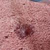 Soft Bathroom Carpet Non Slip Floor Mat Super Comfortable Absorbent Ultra-fine Fiber Foot Mat Suitable for Bathroom Living Room
