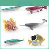 Oceanic Wildlife Model Collection Pvc Sea Creature Figures For Aquarium Decor And Gift