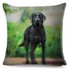 Cute Black Labrador Dog Double-Sided Printed Pillow Cover Short Plush Suitable Living Rooms Bedrooms Sofas Throw Cushion Cover