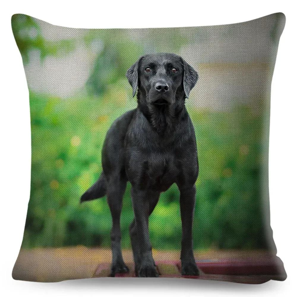 Cute Black Labrador Dog Double-Sided Printed Pillow Cover Short Plush Suitable Living Rooms Bedrooms Sofas Throw Cushion Cover