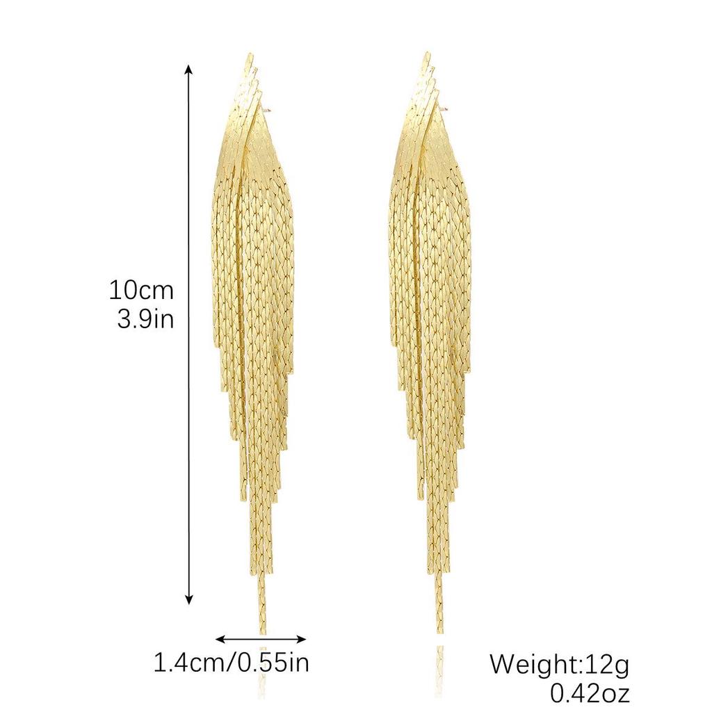 Orecchini di Lusso Europei e Americani con Nappe: Design Invernale Lungo con Zirconi e Strass