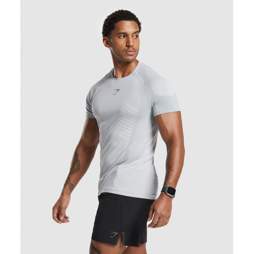 Gymshark Apex Seamless T shirT lighT Grey Medium Grey A5a5h Gchw