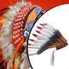 Indian Headdress Artificial Feather for Role