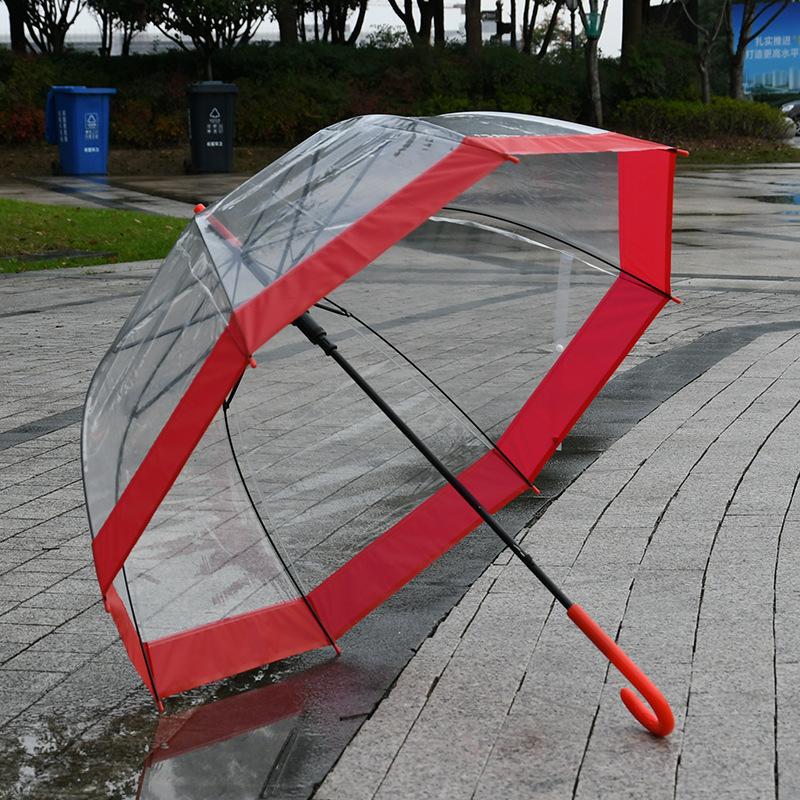 Klarer Regenschirm mit roter Kante