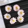 6Pcs Headwear BB Hair Clips Romantic Side Hairpin New Bangs Hair Clip  Women