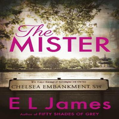 The Mister by E L James Paperback Book 9781787463608