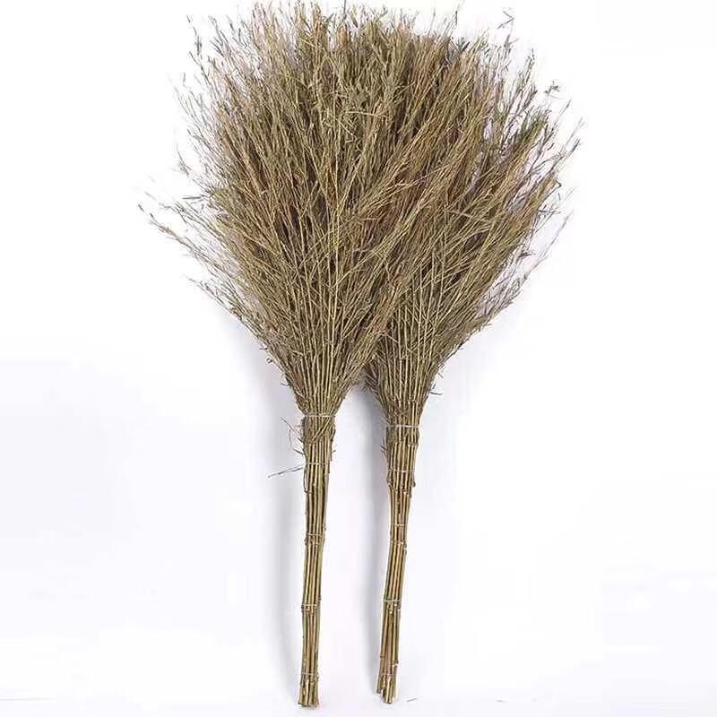 Large Outdoor Broom Set