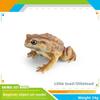 Childrens Wild Animal Pvc Collection With Realistic Tree Frog And Toad Figurines For Educational Play