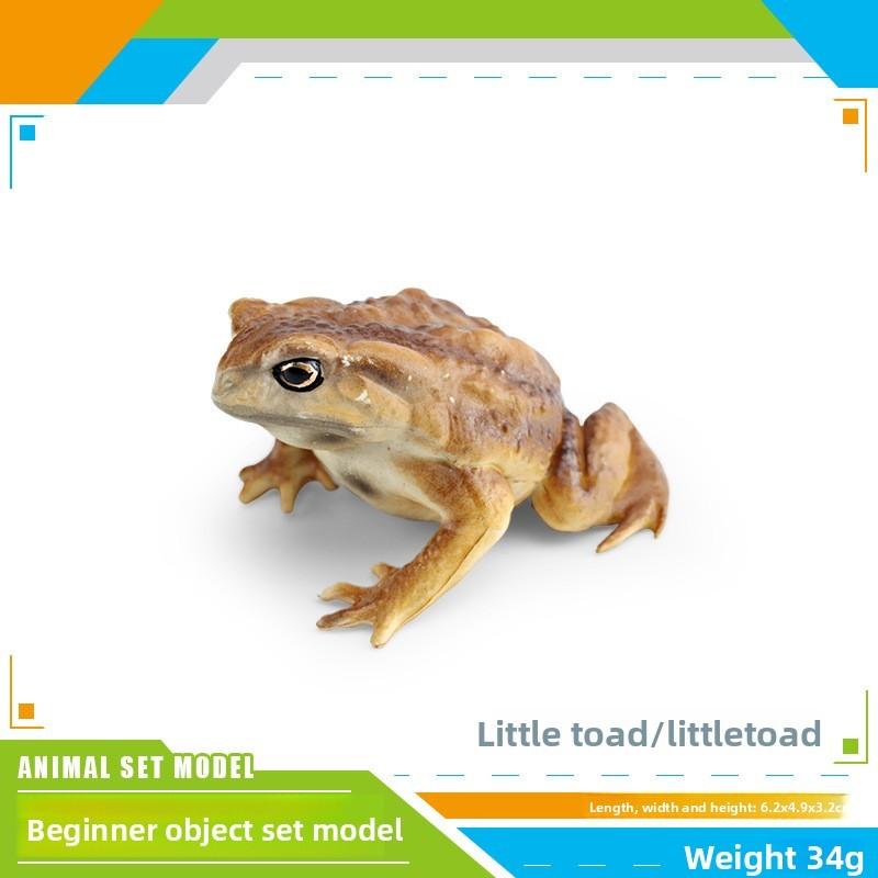 Childrens Wild Animal Pvc Collection With Realistic Tree Frog And Toad Figurines For Educational Play