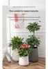 Nordic Creative Self-Watering Large Round Rattan Style Indoor Flower Pot for Green Plants