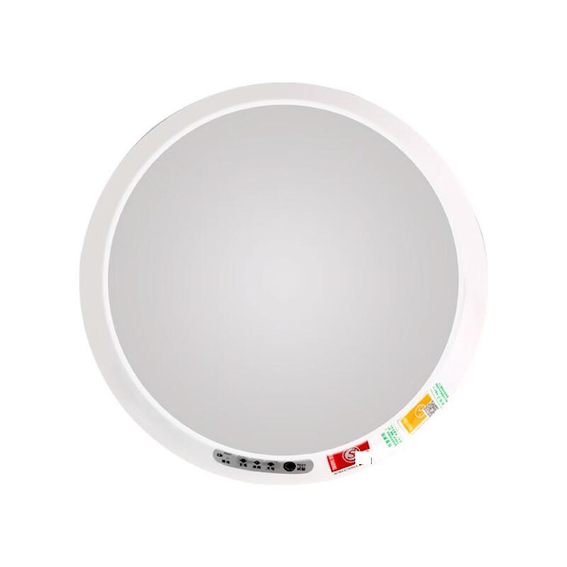 Fulton Commercial Emergency Ceiling Light