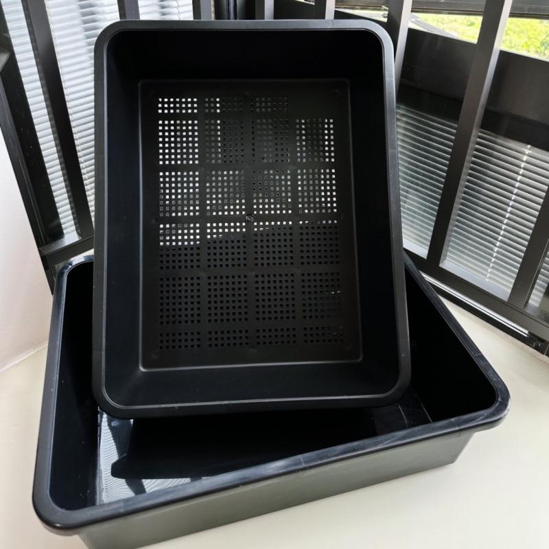 Upgraded XL Double-Layer Cat Litter Box with Turtle Design & Isolation Basin