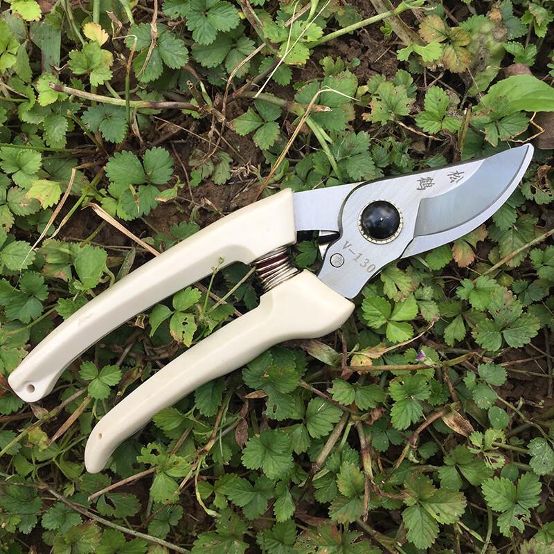 Manganese Steel Garden Pruning Shears CN plug (adapter included)