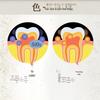 Wujinhua Fresh Invigorating Tea Scent Toothpaste