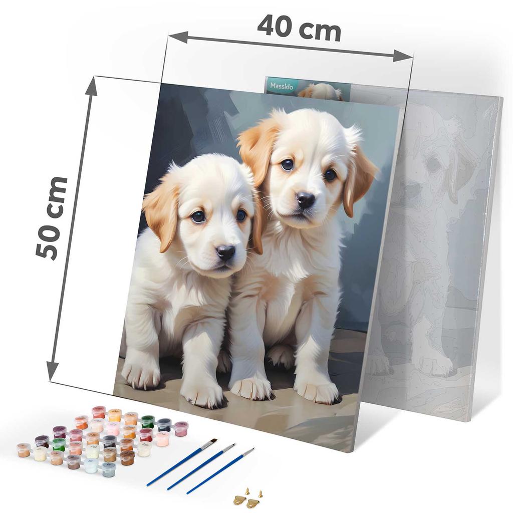 Paint By Number Picture 40X50 Cm Massido Puppies