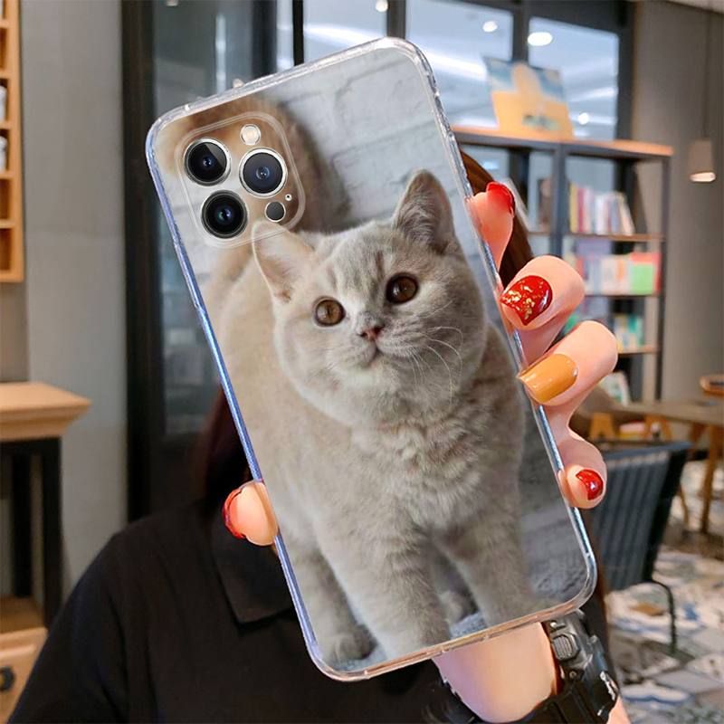 Britská krátkosrstá kočka Pouzdro na telefon pro iPhone 14 13 12 11 Pro Max XS X XR SE 2020 6 7 8 Plus Mini průhledné pouzdro
