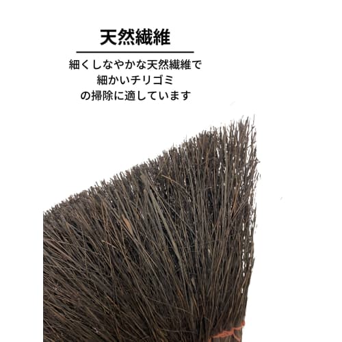 Nihon Clean Tech Black Fern Broom and Dustpan Set