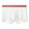 Large Size Men's Summer Thin New Cordyceps Antibacterial No Trace Ice Silk Breathable Quick Dry Flat Angle Underwear