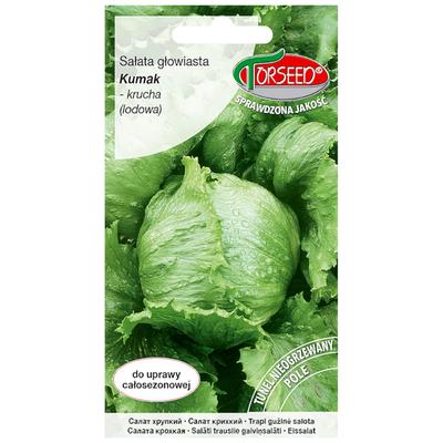 Laitue iceberg croustillante Kumak graines de légumes frais PREMIUM 0.5g