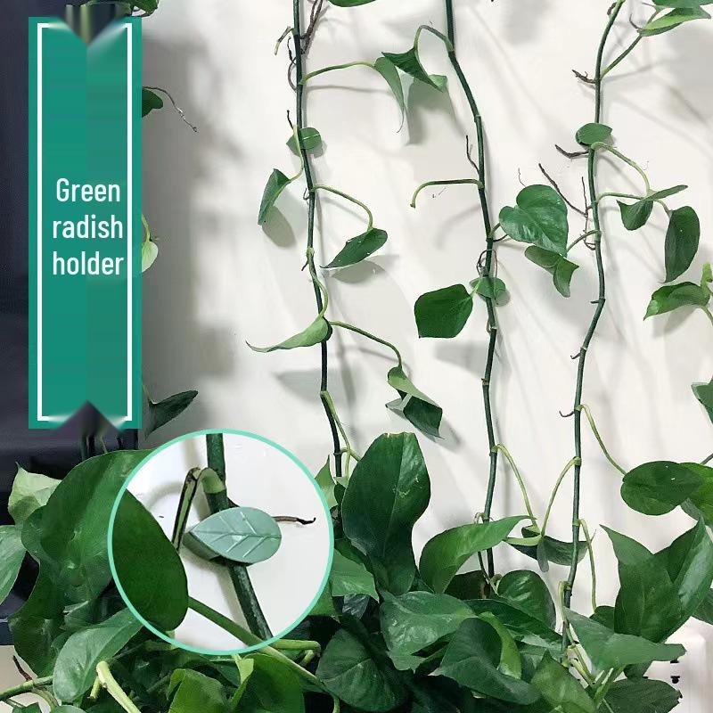Self-Adhesive Invisible Clips for Wall-Mounting Green Vines and Ivy