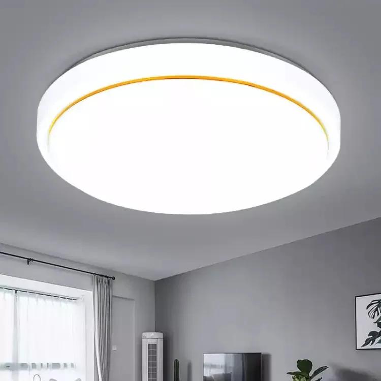 LED Ceiling Lamp Simple Modern Acrylic Bedroom Living Room Balcony Home Lighting Round Gold Wire Multi-style LED Ceiling Lamp