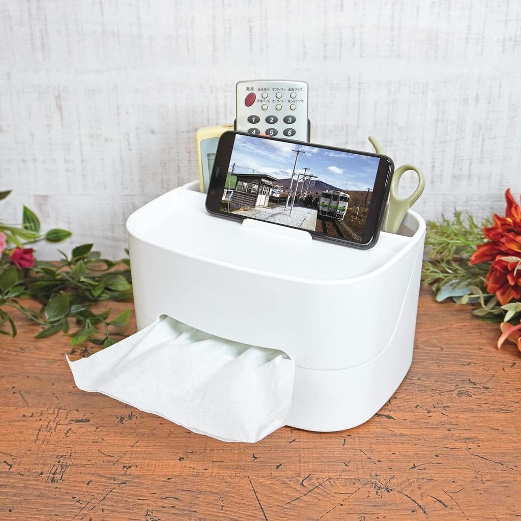 Fine Tissue Case and Tissue Case, Tidying, Small Item Storage, Remote Control FIN-1022