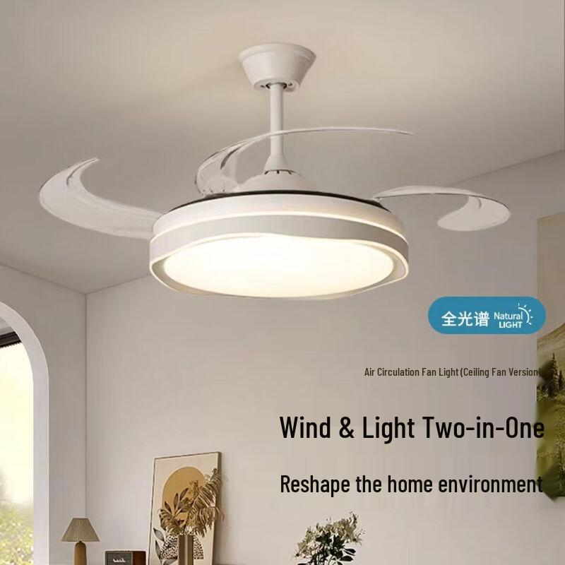 Meng Pao 48-inch Flower Invisible Ceiling Fan Light with Remote
